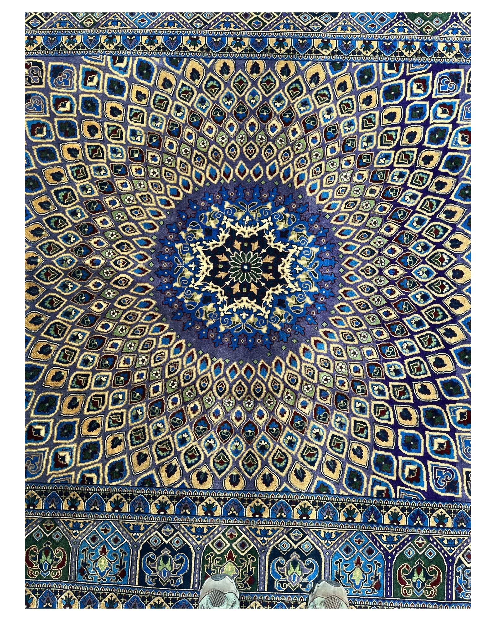 290cm x 200cm Peacock Rug