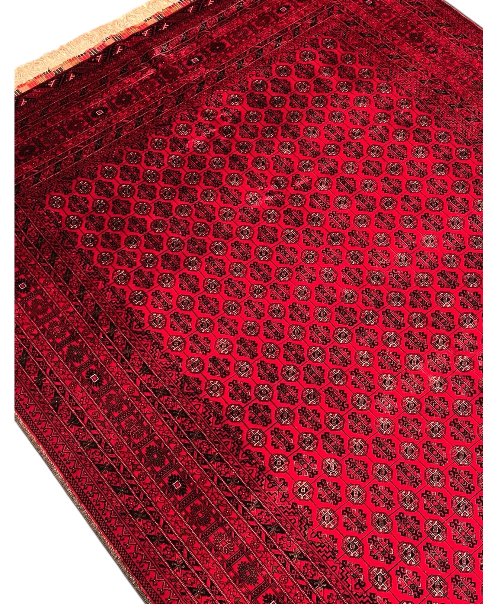 280cm x 197cm Red Roshnai Rug