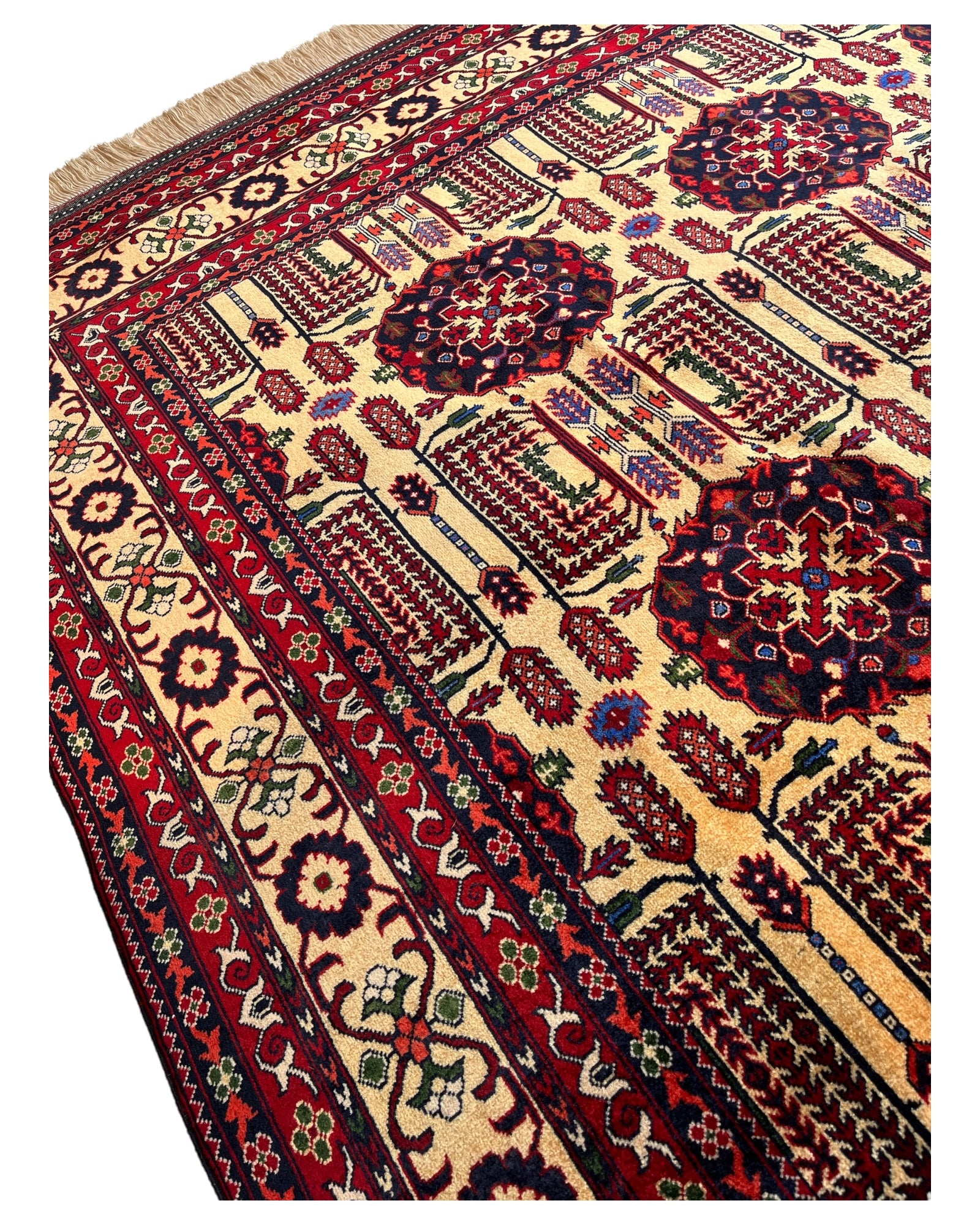 290cm x 200cm Rug