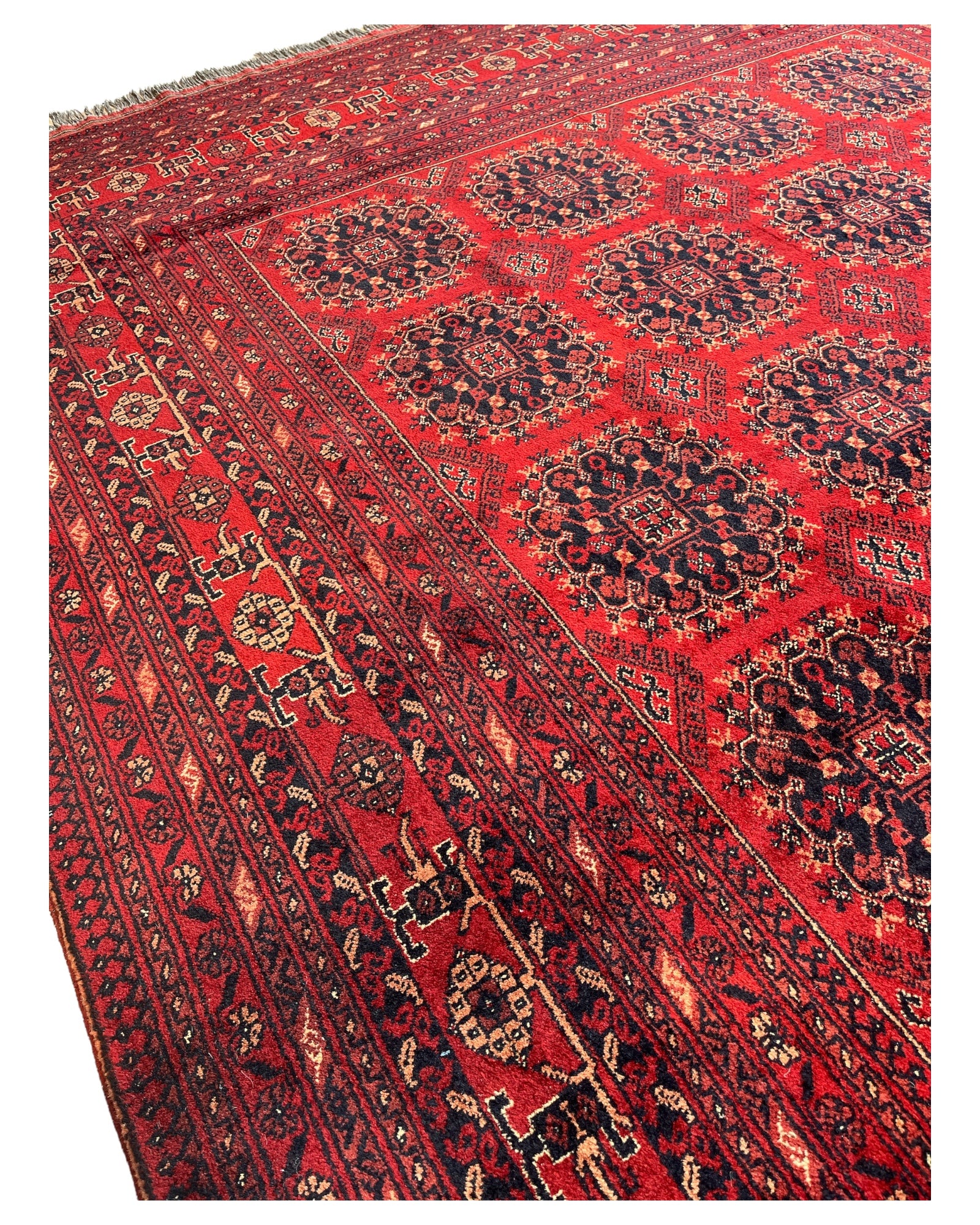 295cm x 200cm Yousefi Rug